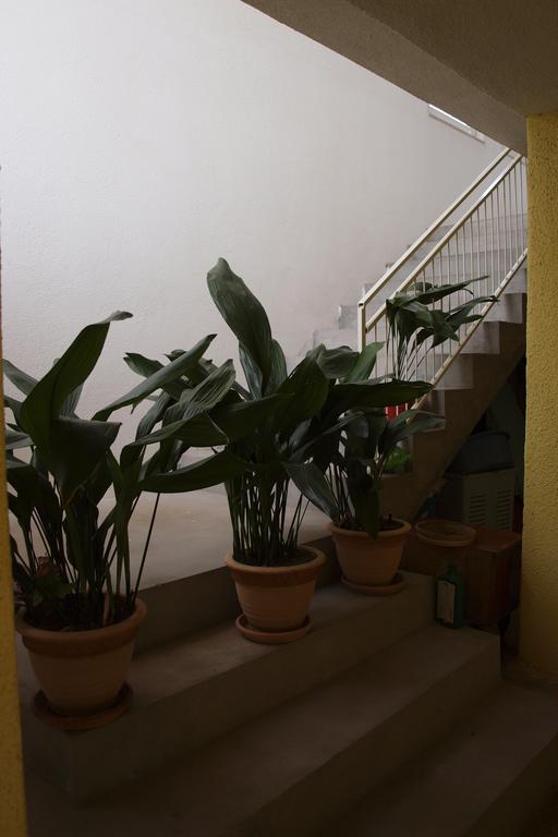 Apartments Viktorija ستاريغغاد باكلينتسا المظهر الخارجي الصورة