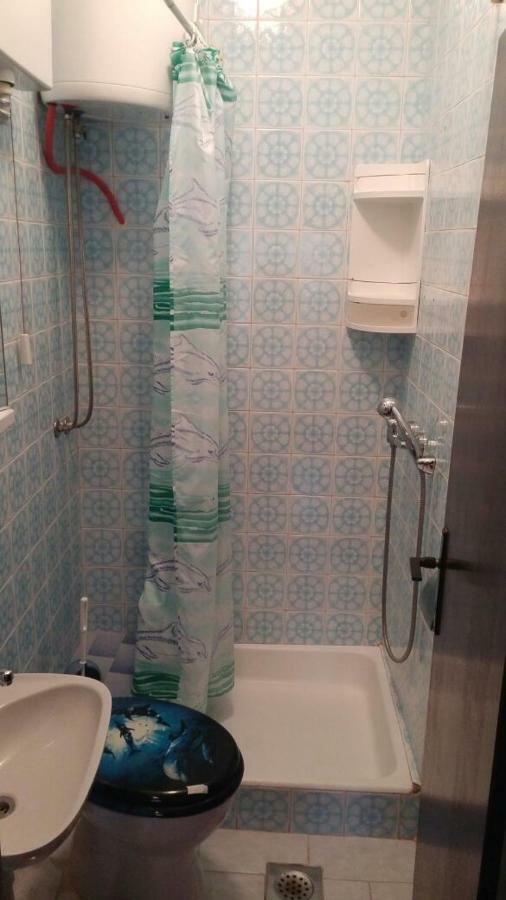 Apartments Viktorija ستاريغغاد باكلينتسا المظهر الخارجي الصورة